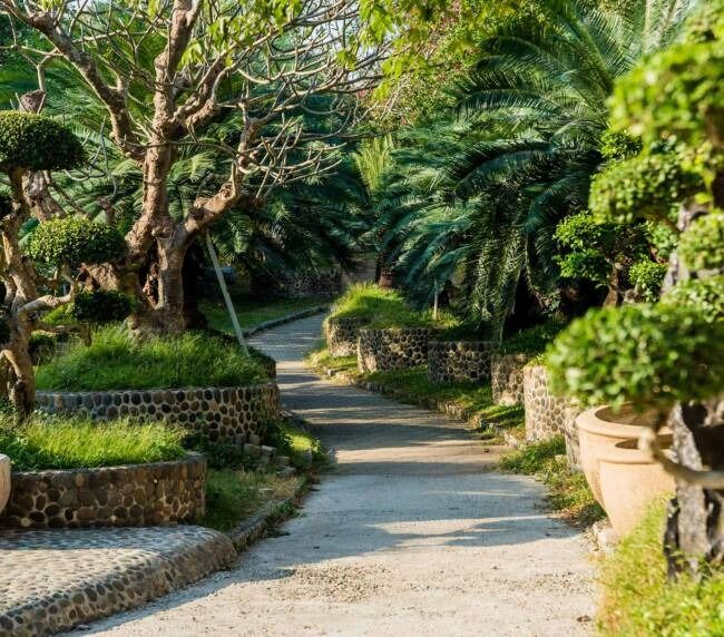 imgi_40_portfolio-image1-copyright-650x572