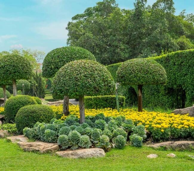 imgi_43_portfolio-image4-copyright-650x572